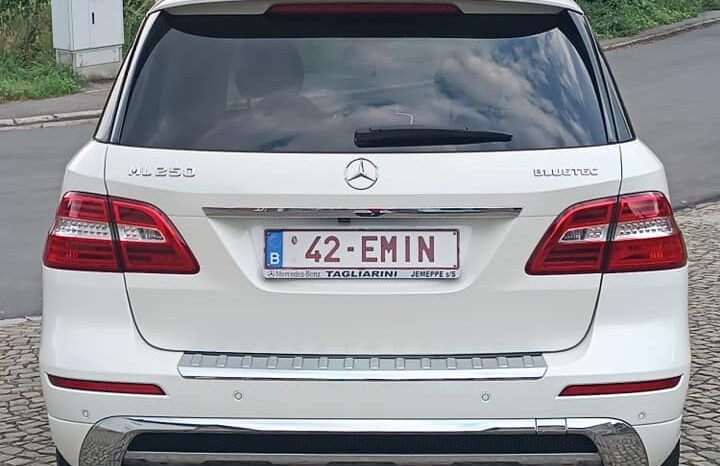 Mercedes-Benz ML 250 BlueTEC 4Matic 2.2 DIESEL full